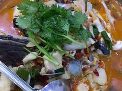 -全乐鱼馆·淳牌有机鱼直营店