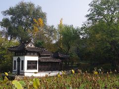 -盆景园(扬州大运河文化旅游度假区)