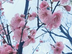 -新江湾城公园