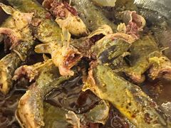 -金海椒罐罐鲢鱼(东方桂苑店)