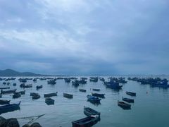 -海源公园