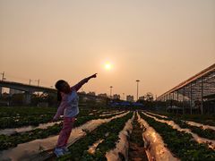 -麻涌飞鸭开心农场