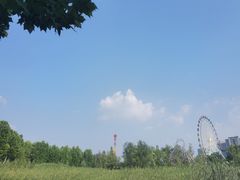 -洋湖国家湿地公园
