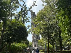 -上海佘山国家森林公园天马山园