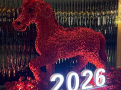 -上海闵行星河湾酒店