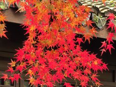-北山街历史文化街区