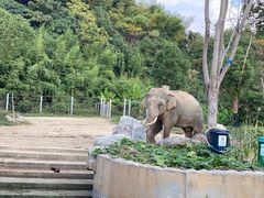 -宁波野生动物园