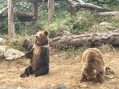 -武汉动物园