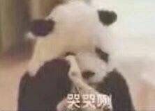 -天秤座发型社