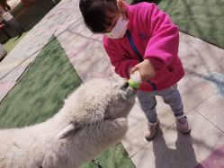 -萌宠亲子动物乐园(槐房万达店)