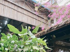 -园林美食城·本土农家菜(杨和镇店)