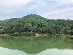 -广州白江湖森林公园