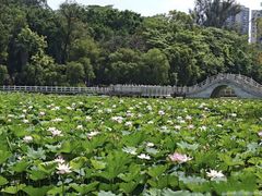 -南宁南湖公园