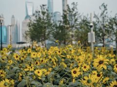 -北外滩滨江绿地