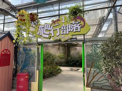 -南宫五洲植物乐园