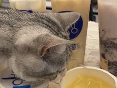 -茶百道(春熙路银石广场店)