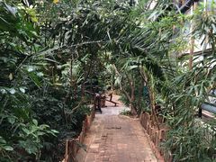 -呀路古热带植物园-恐龙馆