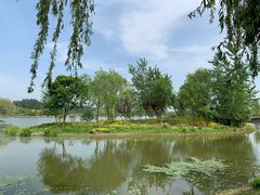 -东郊湿地公园