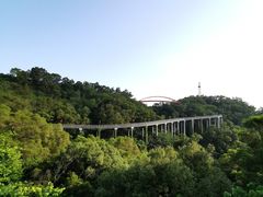 -金鸡山公园