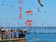 -星海湾跨海大桥