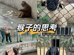 -保定市动物园