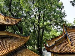 -狼山风景名胜区