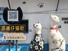 -猫咪博物馆(顶澳仔猫街店)