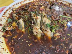 -胖大姐黄辣丁鱼庄(新津店)
