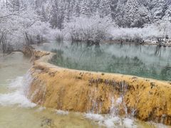 -黄龙山原始森林景区