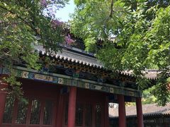 -碑林公园
