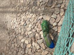 -南京金牛湖风景区