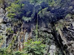 -石台牯牛降景区