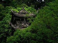 -凤栖山