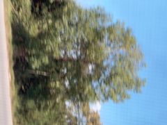 -飞天山旅游区