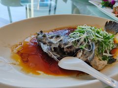 -大东海海鲜酒楼(渔人码头总店)