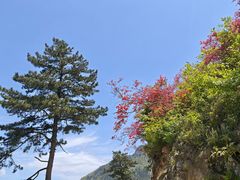 -岳西天峡风景区