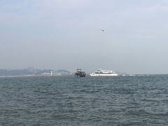 -野狸岛