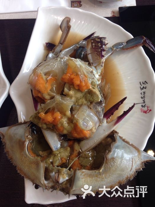 普乐酱蟹酱蟹图片 - 第1805张