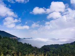 -武陵山森林公园