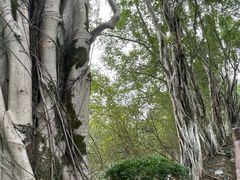 -丰都鬼城名山景区