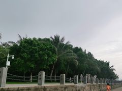 -深圳湾公园(南山区)