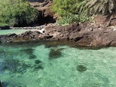 -涠洲岛火山国家地质公园