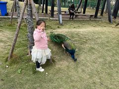 -灵玲国际马戏城