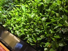 -巴奴毛肚火锅(广益哥伦布店)