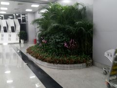 -长沙黄花国际机场-T1航站楼