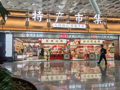 -郑州新郑国际机场-T2航站楼