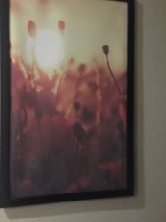 -时尚殿堂·颜SPA