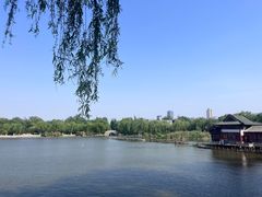 -济南大明湖景区