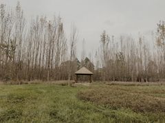 -白鹭湾湿地公园