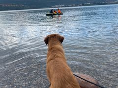 -阳宗海湿地